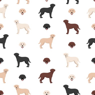 Labrador av köpekleri farklı pozlarda ve ceket renklerinde. Kusursuz desen. Vektör illüstrasyonu