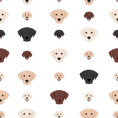 Labrador av köpekleri farklı pozlarda ve ceket renklerinde. Kusursuz desen. Vektör illüstrasyonu