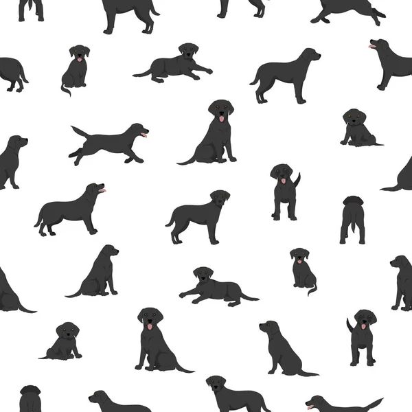 Labrador Retriever Chiens Dans Différentes Poses Couleurs Manteau Modèle Sans — Image vectorielle