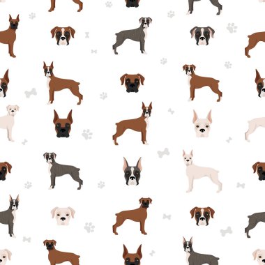 Boksör köpeği kusursuz desen. Farklı pozlar, köpecik. Vektör illüstrasyonu