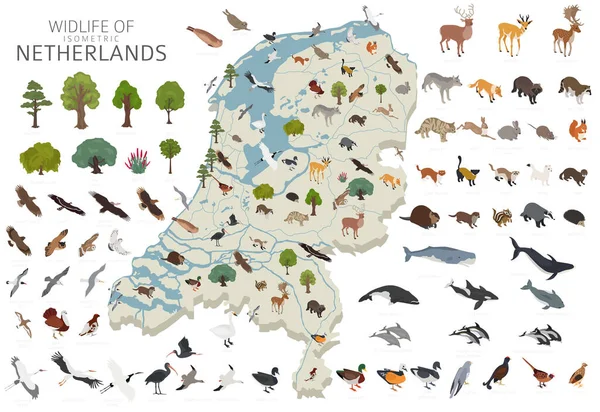 Isomatrisch Ontwerp Van Nederlandse Dieren Het Wild Dieren Vogels Planten — Stockvector