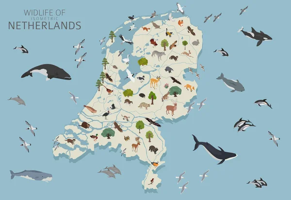Hollanda Vahşi Hayatının Izolasyon Tasarımı Hayvanlar Kuşlar Bitkiler Beyaz Sette — Stok Vektör