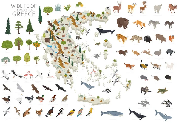 Isomatric 3d design of Greece wildlife. Animals, birds and plants constructor elements isolated on white set. Build your own geography infographics collection. Vector illustration — Stock Illustration Isomatric Design Greece Wildlife Animals Birds Plants Constructor Elements Isolated Royalty Free Stock Illustrations