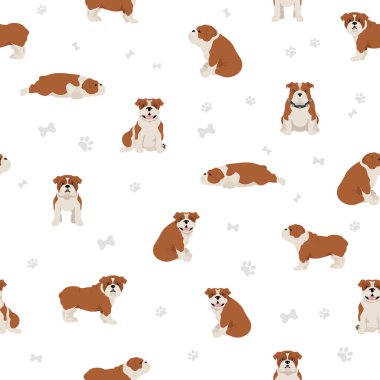 İngiliz Bulldog 'u kusursuz desen. Farklı pozlar, farklı renkler. Vektör illüstrasyonu