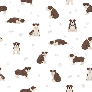 İngiliz Bulldog 'u kusursuz desen. Farklı pozlar, farklı renkler. Vektör illüstrasyonu