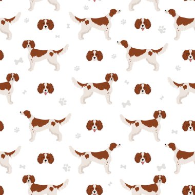 İrlanda kırmızı ve beyaz seter desensiz. Farklı pozlar, farklı renkler. Vektör illüstrasyonu