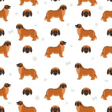 Leonberger kusursuz desen. Farklı pozlar, farklı renkler. Vektör illüstrasyonu