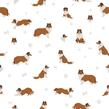 Tasarımcı, melez, melez köpek koleksiyonu beyaza izole edilmiş. Düz stil clipart seti. Vektör illüstrasyonu