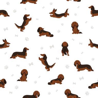 Dachshund uzun tüysüz desen. Farklı pozlar, farklı renkler. Vektör illüstrasyonu