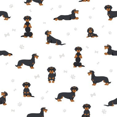 Dachshund wire haired clipart. Different poses, coat colors set.  Vector illustration clipart