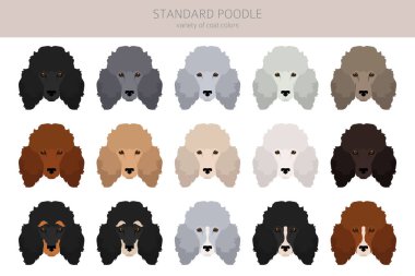 Standart kaniş klipsi. Farklı pozlar, farklı renkler. Vektör illüstrasyonu