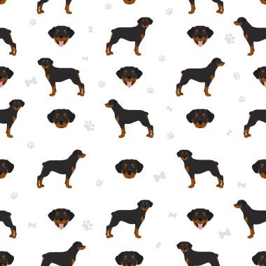 Rottweiler kusursuz desen. Farklı pozlar, farklı renkler. Vektör illüstrasyonu
