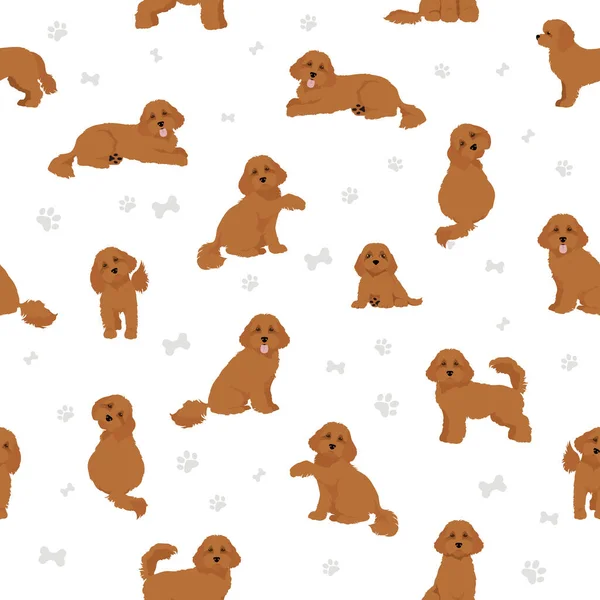 Cavapoo Mix Breed Seamless Pattern Different Poses Coat Colors Set — Stock Vector