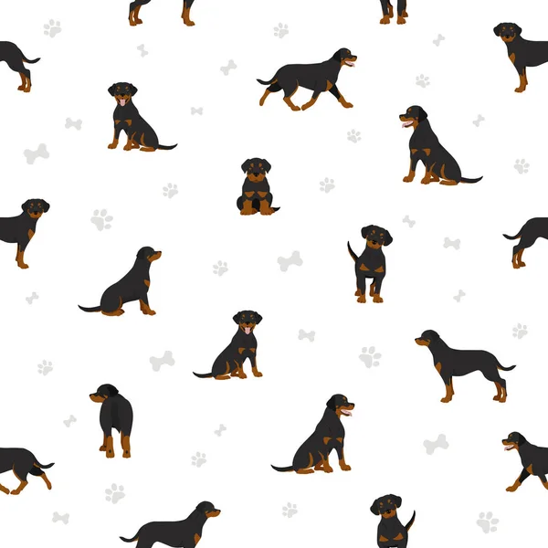Rottweiler Αδιάλειπτη Μοτίβο Διαφορετικές Πόζες Σετ Χρωμάτων Εικονογράφηση Διανύσματος — Διανυσματικό Αρχείο