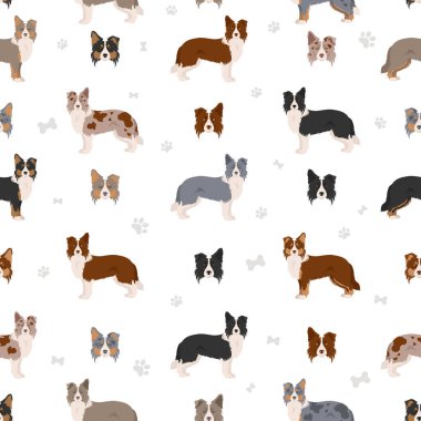 Collie Clipart sınırında. Farklı pozlar, farklı renkler. Vektör illüstrasyonu