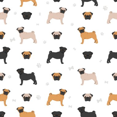 Pug pürüzsüz desen. Farklı pozlar, farklı renkler. Vektör illüstrasyonu