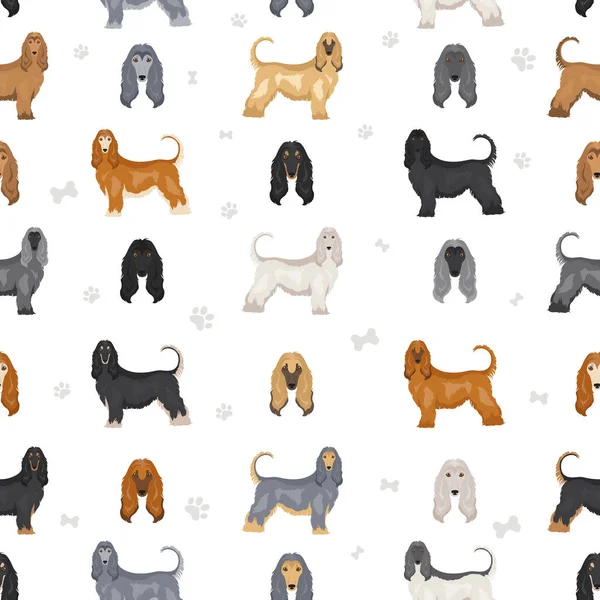 Perro Afgano Todos Los Colores Patrón Sin Costuras Conjunto Diferentes — Vector de stock