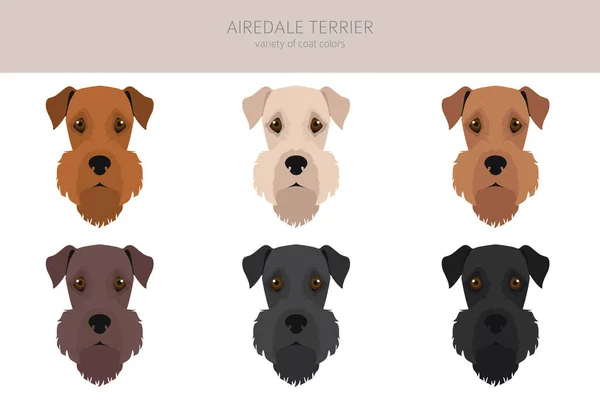 Airedale Terrier Tutti Colori Clipart Diversi Colori Cappotto Impostati Illustrazione — Vettoriale Stock