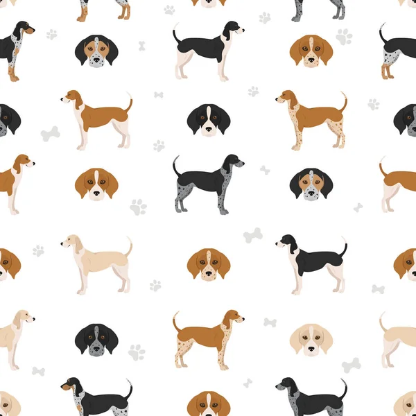 Amerikanska Englisn Coonhound Alla Färger Sömlösa Mönster Olika Pälsfärger Vektorillustration — Stock vektor