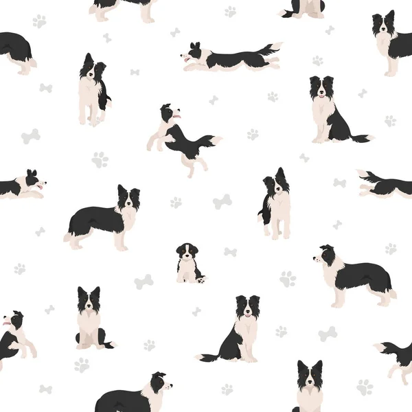 Border Collie Clipart Posate Diverse Colori Del Cappotto Impostati Illustrazione — Vettoriale Stock