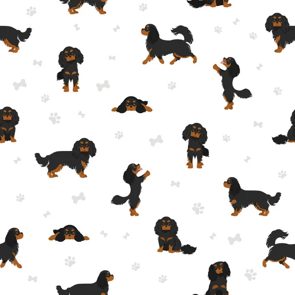 Cavalier King Charles Spaniel Seamless Pattern Different Poses Coat Colors — Stock Vector