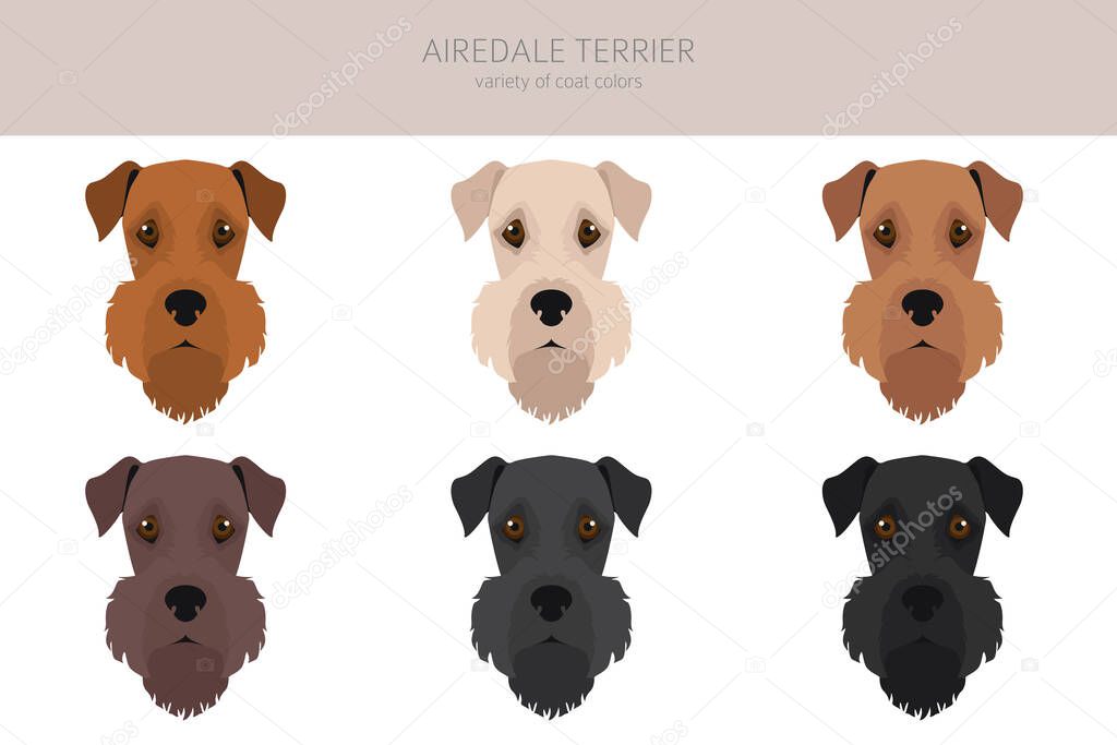 Airedale terrier all colours clipart. Different coat colors set. Vector illustration