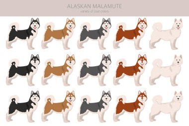 Alaska 'da her renkten insan tırmalanır. Farklı ceket renkleri ve pozlar. Vektör illüstrasyonu