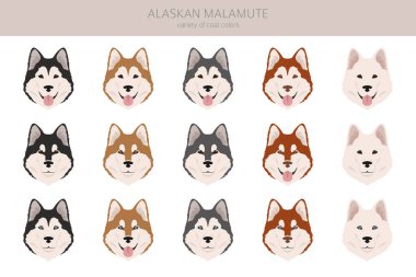 Alaska 'da her renkten insan tırmalanır. Farklı ceket renkleri ve pozlar. Vektör illüstrasyonu
