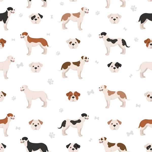 Amerikansk Bulldog Alla Färger Sömlös Mönster Olika Pälsfärger Vektorillustration — Stock vektor