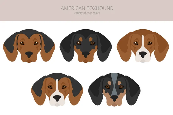 American Foxhound Alle Farben Cliparts Verschiedene Fellfarben Eingestellt Vektorillustration — Stockvektor