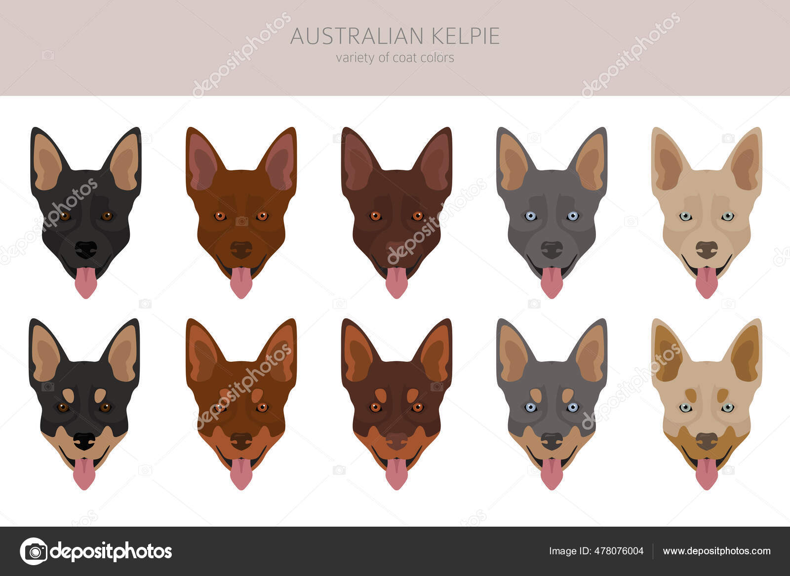 Australian Kelpie All Colours Clipart Different Coat Colors Poses Set