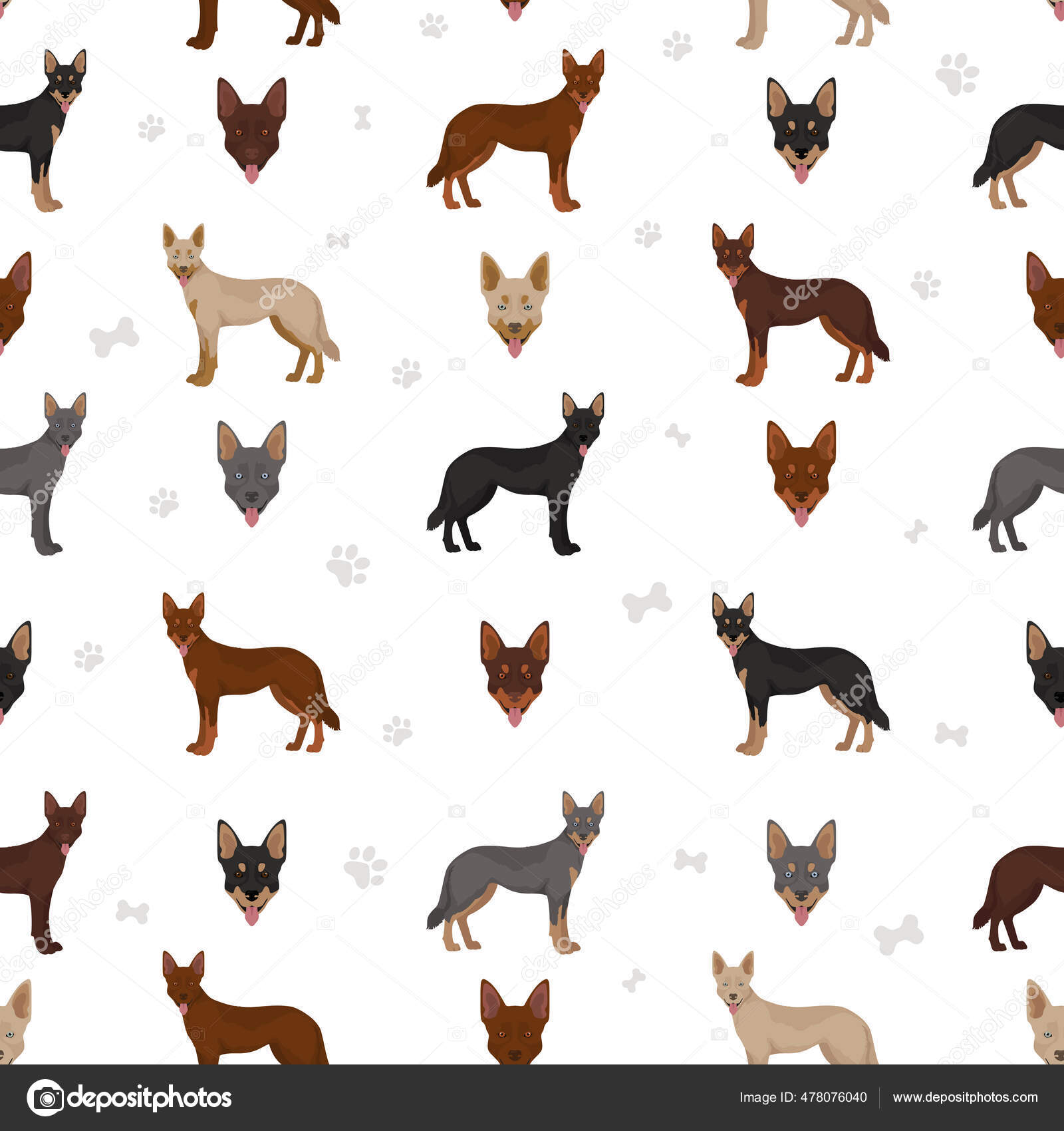 Australian Kelpie All Colours Clipart Different Coat Colors Poses Seamless Stock Illustration by