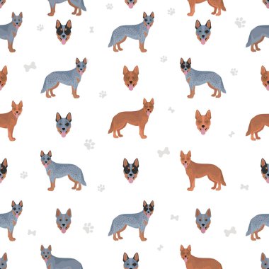 Avustralyalı sığır çobanı tüm renksiz desenler. Farklı ceket renkleri ve pozlar. Vektör illüstrasyonu