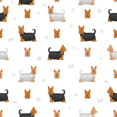 Avustralya ipeksi teriyeri tüm renkler toplanır. Farklı ceket renkleri ve pozlar. Vektör illüstrasyonu