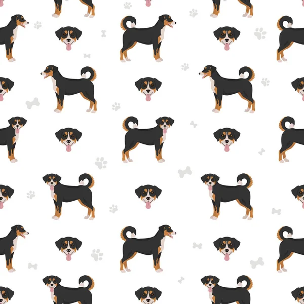 Appenzeller Sennenhund Tutti Colori Modello Senza Soluzione Continuità Diversi Colori — Vettoriale Stock