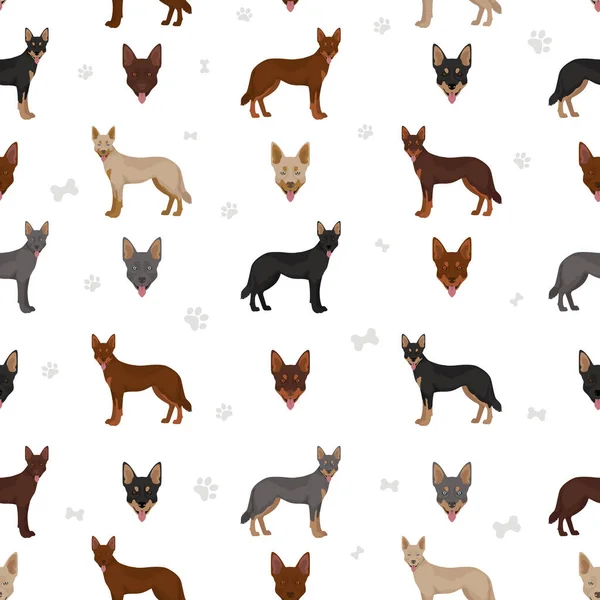 Kelpie Australiano Todos Los Colores Clipart Diferentes Colores Capa Plantea — Vector de stock