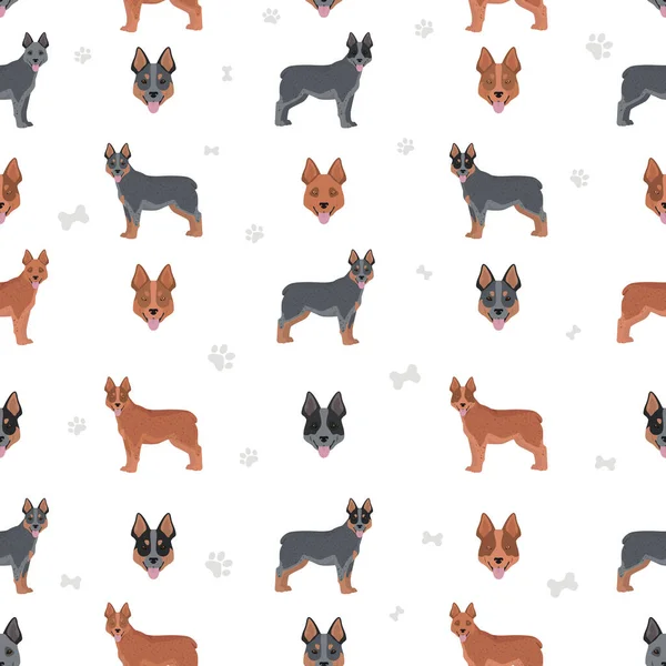 Australian Stumpy Tail Cattle Dog All Colours Seamless Pattern Different — Stock Vector