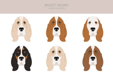 Basset av köpeği kırpması. Farklı ceket renkleri ve pozlar. Vektör illüstrasyonu