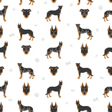 Beauceron kusursuz desen. Farklı ceket renkleri ve pozlar. Vektör illüstrasyonu