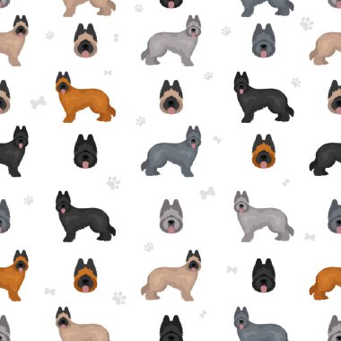 Briard Clipart 'ta. Farklı ceket renkleri ve pozlar. Vektör illüstrasyonu