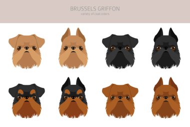 Brüksel Griffon Clipart. Farklı ceket renkleri ve pozlar. Vektör illüstrasyonu