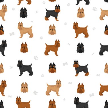 Brüksel griffonu kusursuz desen. Farklı ceket renkleri ve pozlar. Vektör illüstrasyonu