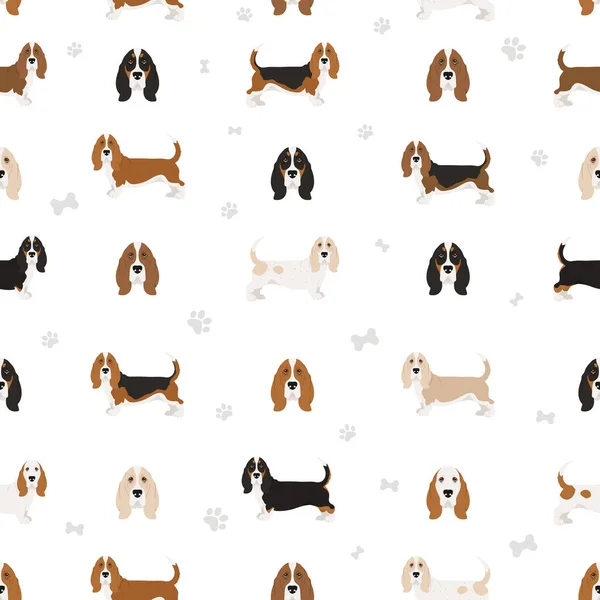 Patrón Costura Del Sabueso Basset Diferentes Colores Capa Poses Conjunto — Vector de stock