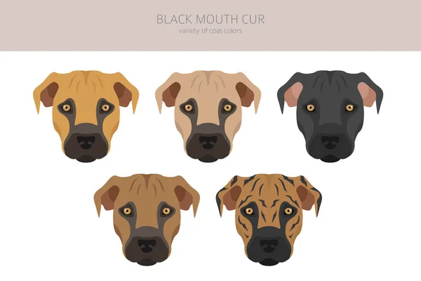 Black Mouth Cur Clipart Different Coat Colors Poses Set Vector — Stock vektor