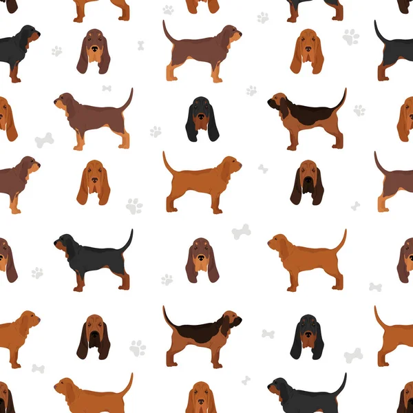 Bloodhound Seamless Pattern Different Coat Colors Poses Set Vector Illustration — Image vectorielle