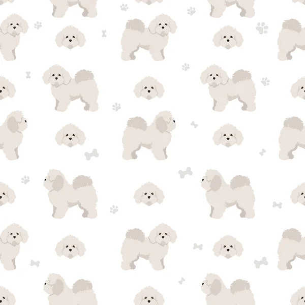 Bolognese Dog Seamless Pattern Different Coat Colors Poses Set Vector — 스톡 벡터