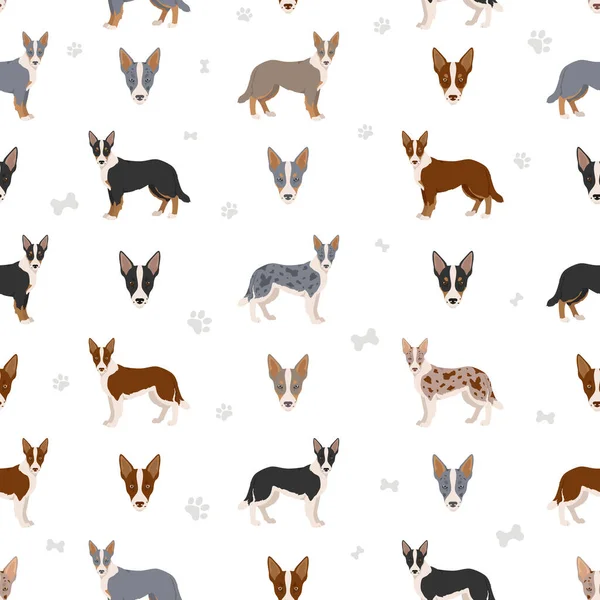 Smooth Border Collie Seamless Pattern Different Poses Coat Colors Set — ストックベクタ