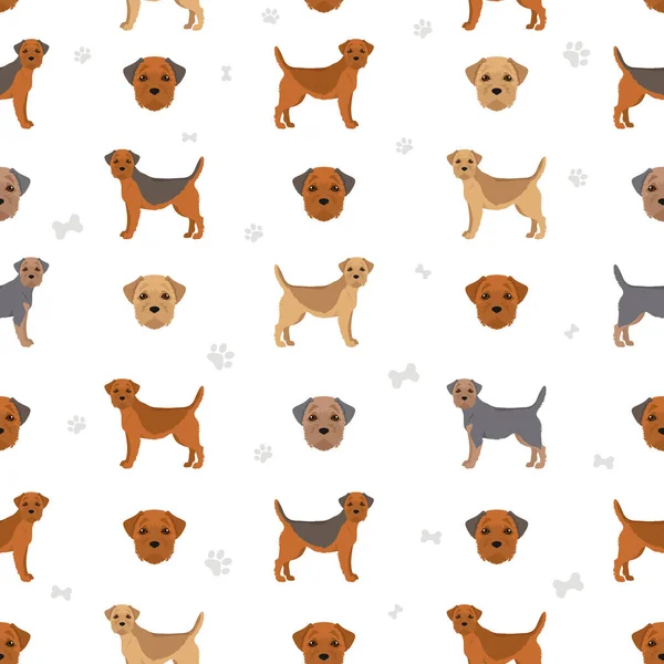 Border Terrier Seamless Pattern Different Coat Colors Poses Set Vector — Stock vektor