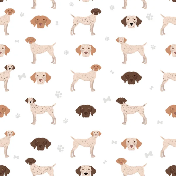 Bourbonnais Pointer Seamless Pattern Different Coat Colors Poses Set Vector — 图库矢量图片