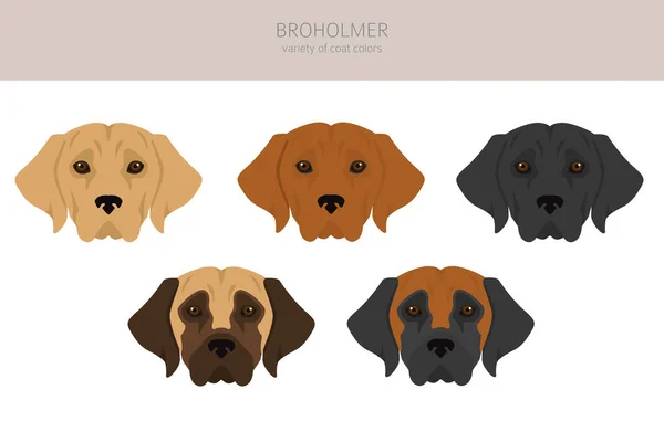 Broholmer Clipart Different Coat Colors Poses Set Vector Illustration — Stock vektor